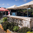 SOHO Vineyard 3 web April 2026.jpg