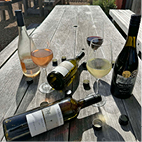 Awaroa Vineyard 3 web April 2026.jpg