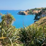 Matiatia Bay Photo Copyright Gulf News