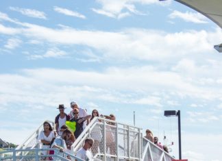 Ferry Matiatia Auckland Council Waiheke Local Board Auckland Transport