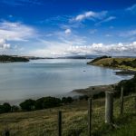 Waiheke-food-producers-Te-Matuku-Bay-Photo-Denis-La-Touche
