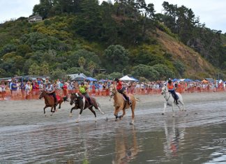 Onetangi Beach Races 2019Galloping horses and riders make a great spectacle.