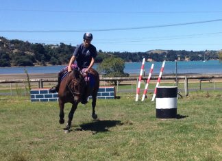 Waiheke Pony Club Camp