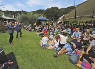 Wellington City Shake Em On Downers