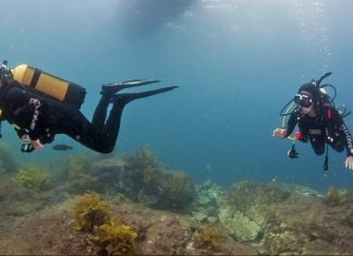 Waiheke High School Dive Trip