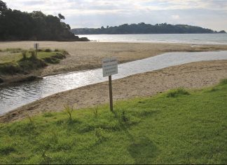 Auckland city Council Reticulation Little Oneroa Stream