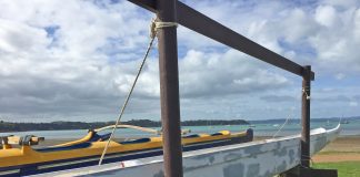 Waka ama wroking bee