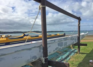 Waka ama wroking bee