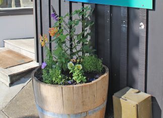 New barrel gardens in Oneroa