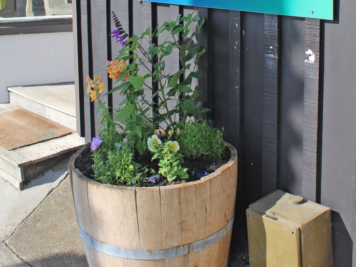 New barrel gardens in Oneroa