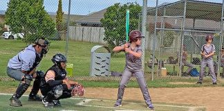 Under 13 Colts player Anouk Alley stepped up to score two runs for the Stallions in the higher age grade. Photo Janine Martin