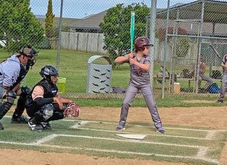 Under 13 Colts player Anouk Alley stepped up to score two runs for the Stallions in the higher age grade. Photo Janine Martin
