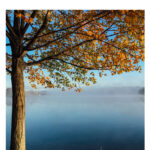Real Estate Cover web Mar 2024
