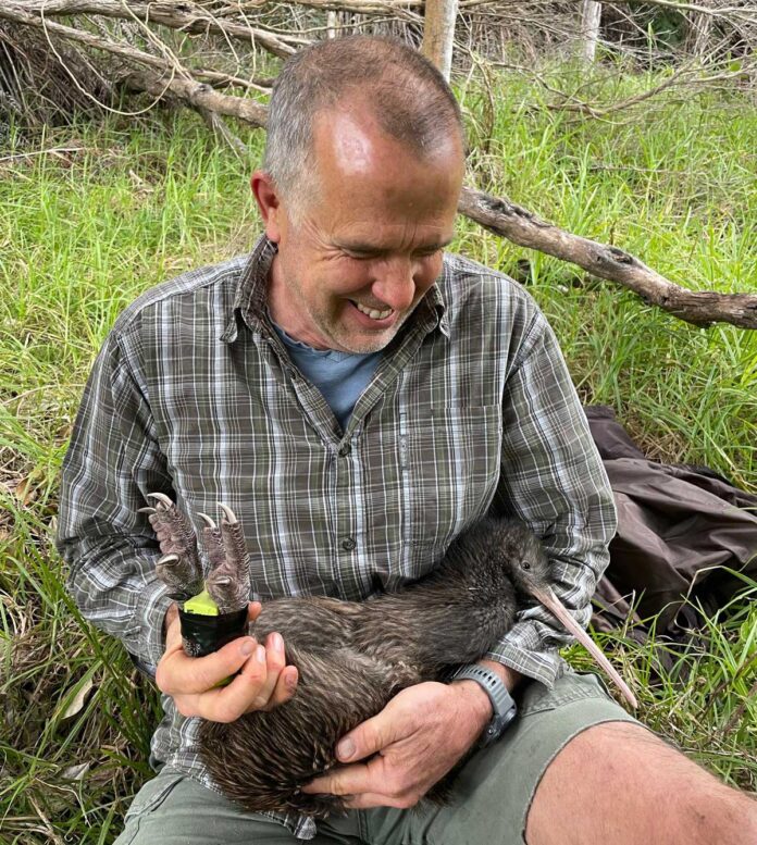 kiwi