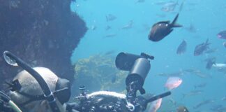 Government pledges $6million for Hauraki Gulf tourism infrastructure