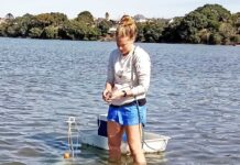 Tyres most common source of microplastics in the Gulf