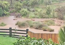 Narrow escapes and splitting tanks after deluge