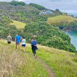 COL-WELL-A-consistent-routine-of-aerobic-exercise-might-help-increase-the-lifespan-and-the-health-span-of-your-brain.-Photo-SG