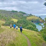 COL-WELL-A-consistent-routine-of-aerobic-exercise-might-help-increase-the-lifespan-and-the-health-span-of-your-brain.-Photo-SG