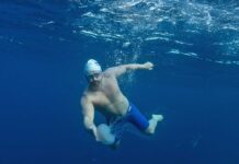 Dolphin encounter a highlight in Jono’s 1350km swim to end bottom trawling
