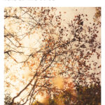 Real Estate Cover web March 2026