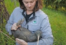 ‘From rare to everywhere’