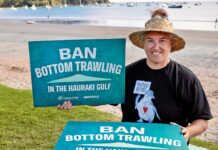 “Most damaging step in a generation” Reforms could erode Hauraki Gulf’s special status