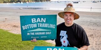 “Most damaging step in a generation” Reforms could erode Hauraki Gulf’s special status