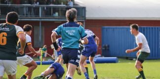 Referee abuse a threat to our national game