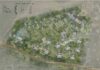 Island’s first ‘fast-track’ development gets Minister’s referral