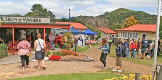 Sports clubs and museum get $1 leases renewed