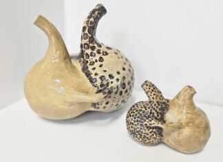 Gallery pitches community ceramic studio