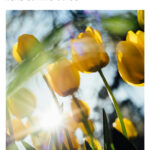 Real Estate Cover web September 2026