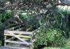 Little Oneroa bridge closure mystery solved