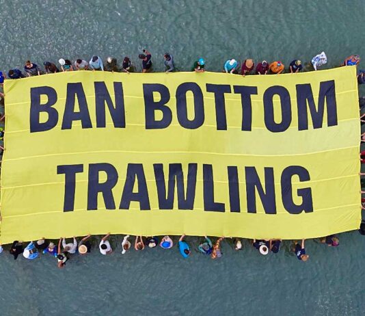 Hundreds gather to demand an end to bottom trawling in the gulf