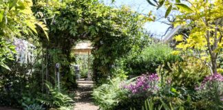 Explore the island’s unique gardens