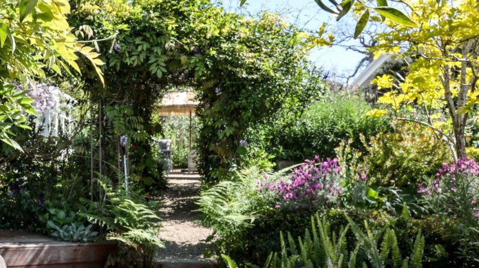 garden